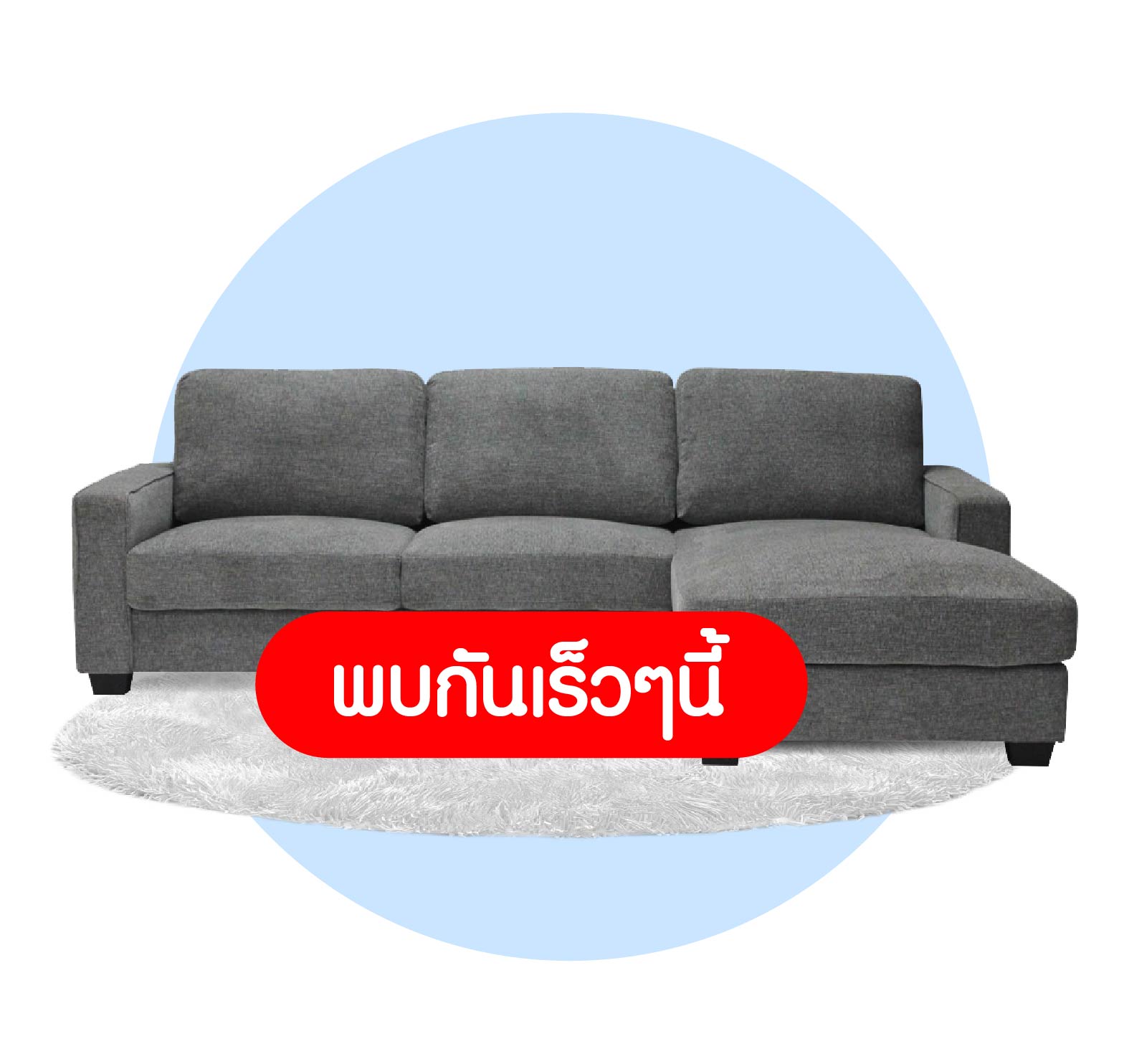 เฟอร์นิเจอร์และของแต่งบ้าน
