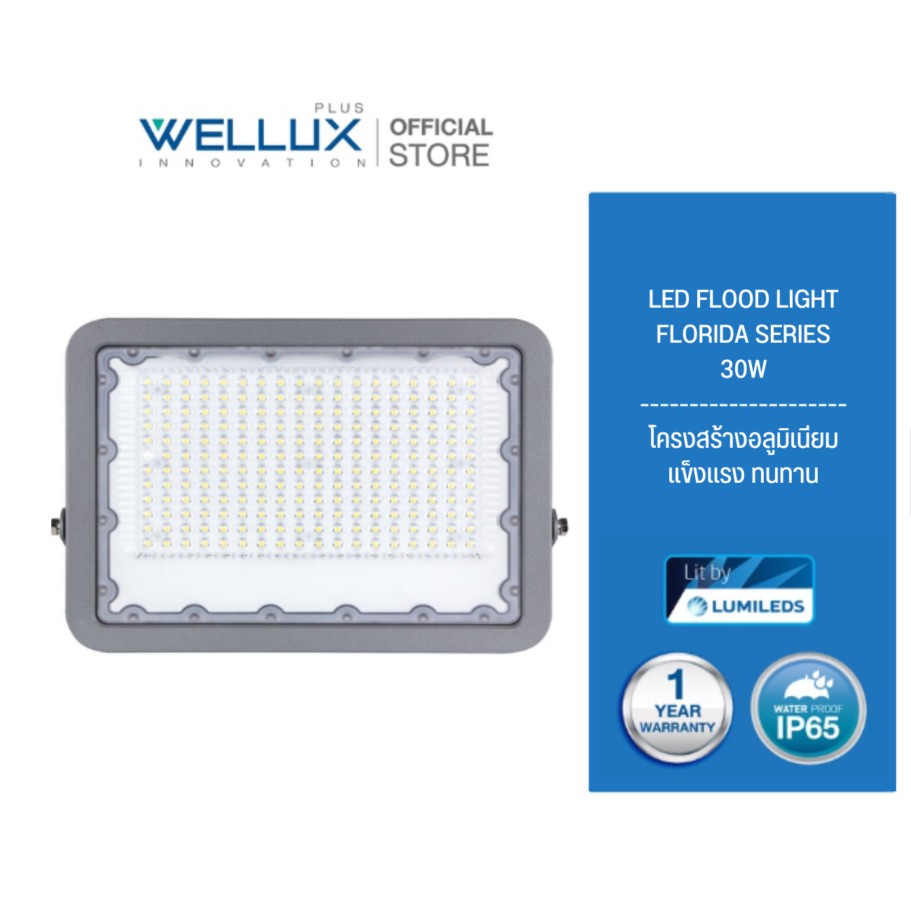 SKI - สกี จำหน่ายสินค้าหลากหลาย และคุณภาพดี | WELLUX W131-0200 โคมไฟสปอร์ตไลท์ ฟลัดไลท์ 30 วัตต์ เดย์ไลท์ (20หลอด/ลัง)