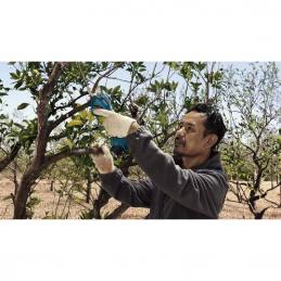 BOSCH กรรไกรตัดกิ่งไม้ไร้สาย Pro Pruner Professional (KIT) 12V. พร้อม แบตตารี่และที่ชาร์จ #06019K10K1