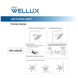 WELLUX W131-0200 โคมไฟสปอร์ตไลท์ ฟลัดไลท์ 30 วัตต์ เดย์ไลท์ (20หลอด/ลัง)