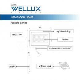 WELLUX W131-0200 โคมไฟสปอร์ตไลท์ ฟลัดไลท์ 30 วัตต์ เดย์ไลท์ (20หลอด/ลัง)
