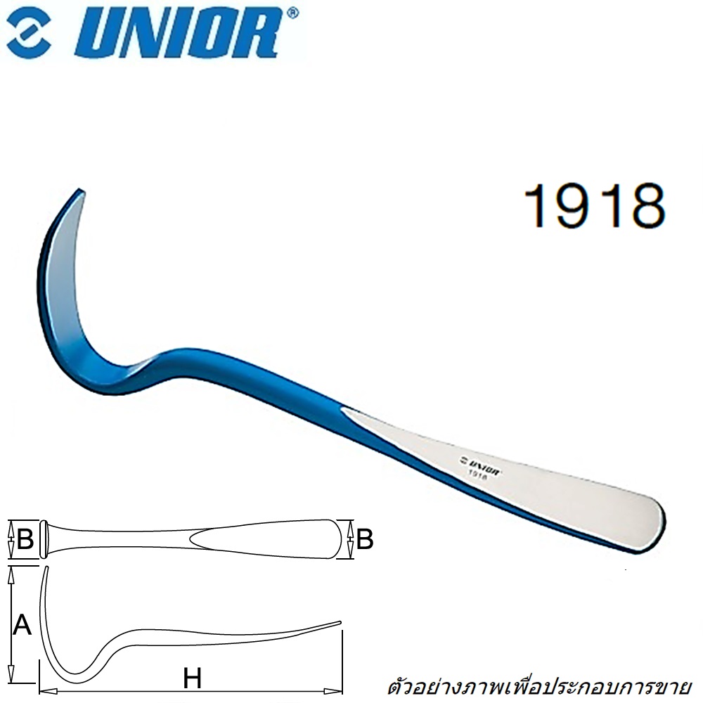 UNIOR 1918 ช้อนรองเคาะ แบน ตาขอ
