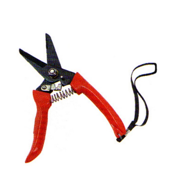 SKI - สกี จำหน่ายสินค้าหลากหลาย และคุณภาพดี | GARDENTE #E744 กรรไกรตัดกิ่งไม้ ด้ามพลาสติก 7นิ้ว